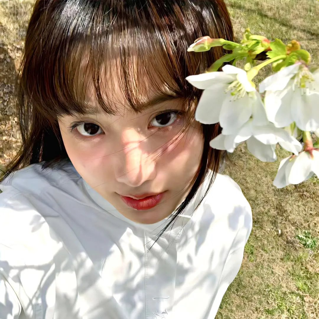 特禽鲨龙
