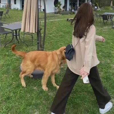 剩女约瑟芬国语